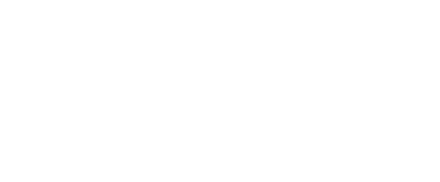 Seif-Limousine Service
